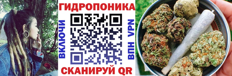 Купить где Сургут МАРИХУАНА семена